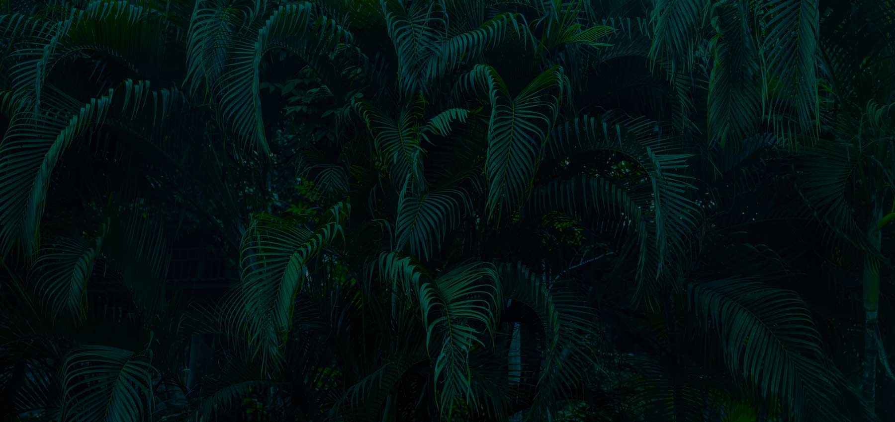 Meeting at San Antonio