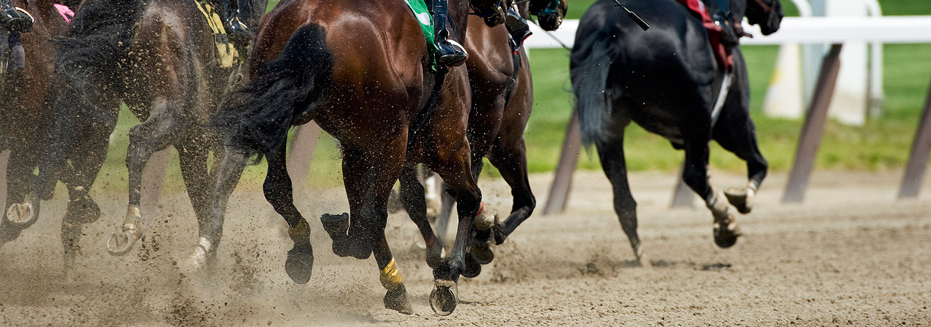Sunland Park Racetrack and Casino Slot Machines & Horse Racing