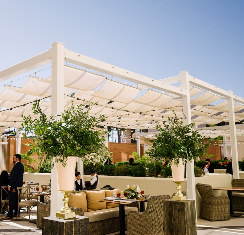 Custom Collection Paso Del Norte